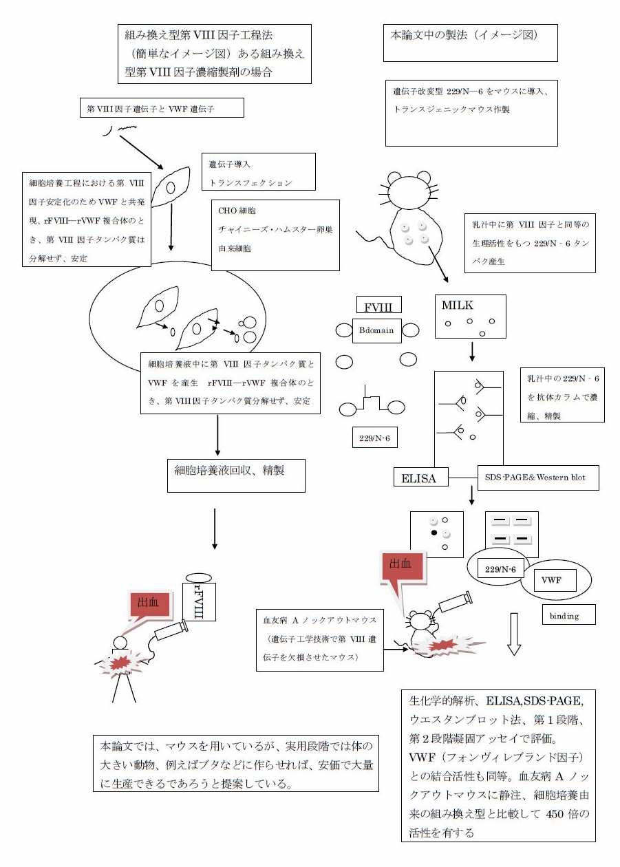 ◇はばたき血友病情報（研究・開発）　「組み換え型ヒト第Ⅷ因子、非効率さの改善・大量生産を目指して　何とマウスミルク利用」